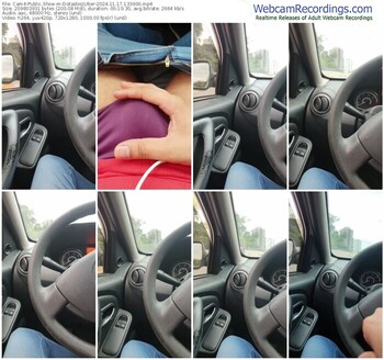 cam4-dotadoszuber-11-17-2024-13-39-00