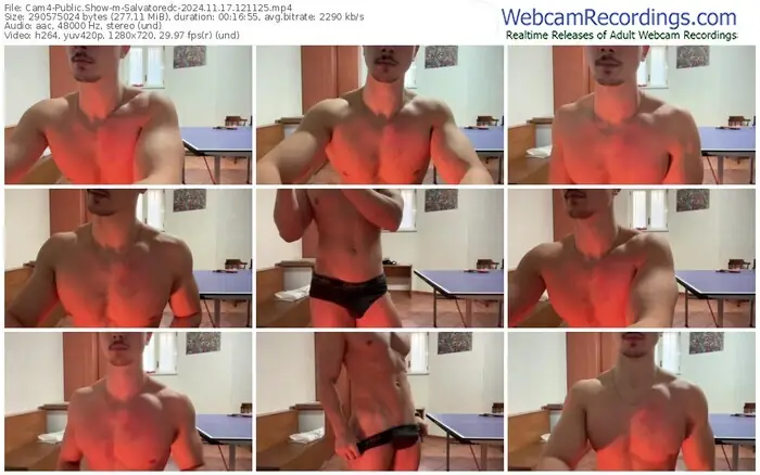 cam4-salvatoredc-11-17-2024-12-11-25