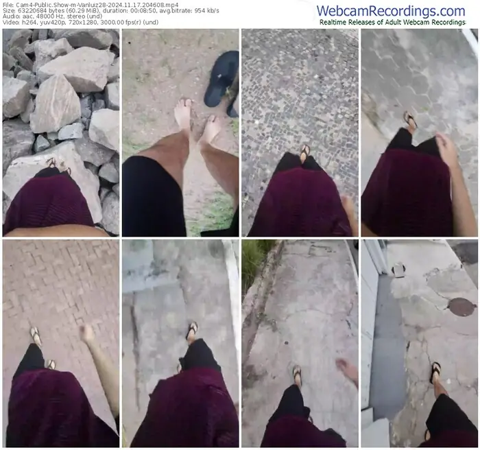 cam4-vanluiz28-11-17-2024-20-46-08