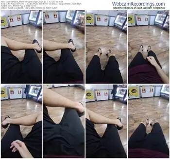 cam4-vanluiz28-11-17-2024-21-07-45