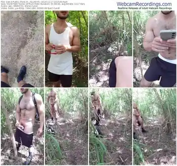 cam4-_alladyn_-11-17-2024-16-15-30