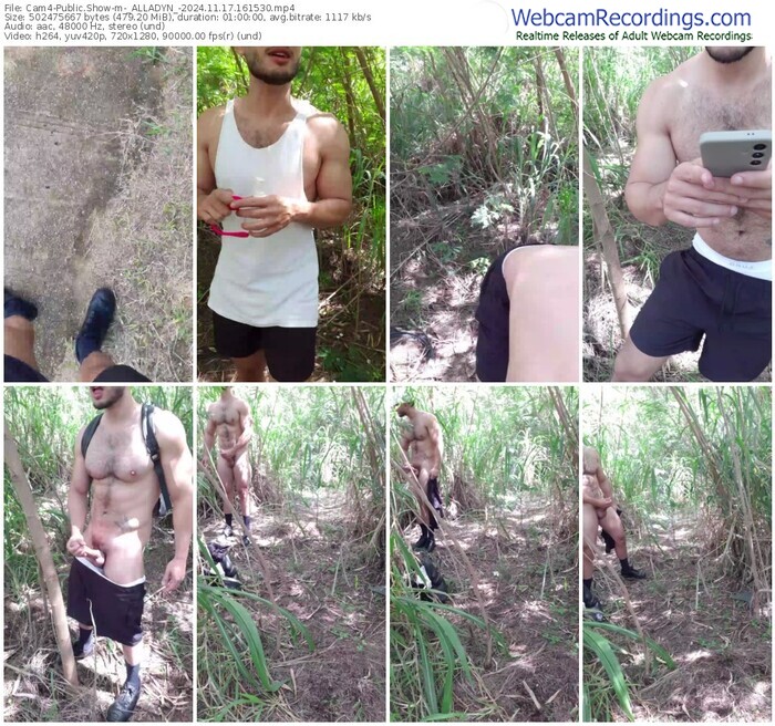 cam4-_alladyn_-11-17-2024-16-15-30