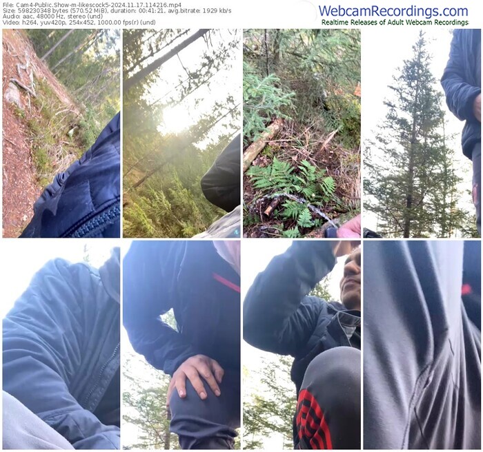 cam4-likescock5-11-17-2024-11-42-16