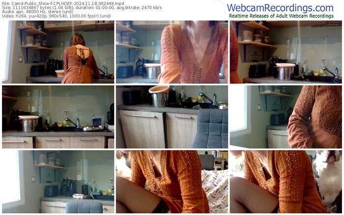 cam4-cplhdef-11-18-2024-09-24-48