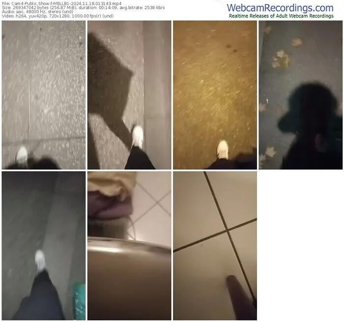 cam4-mellb1-11-18-2024-01-31-43