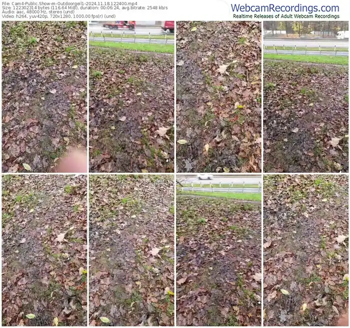 cam4-outdoorgeil1-11-18-2024-12-24-00