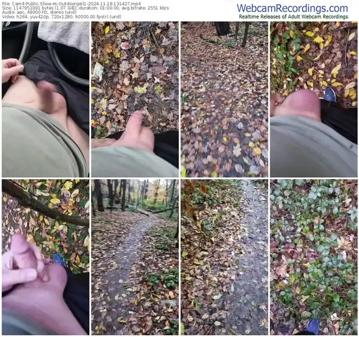 cam4-outdoorgeil1-11-18-2024-13-14-27