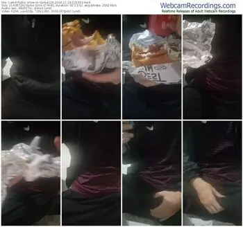 cam4-vanluiz28-11-18-2024-02-53-03