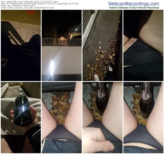 cam4-mellb1-11-19-2024-23-19-17