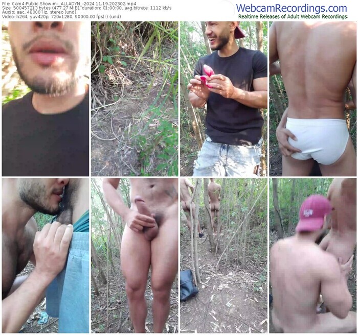 cam4-_alladyn_-11-19-2024-20-23-02