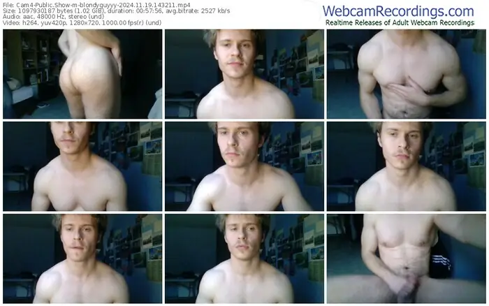 cam4-blondyguyyy-11-19-2024-14-32-11