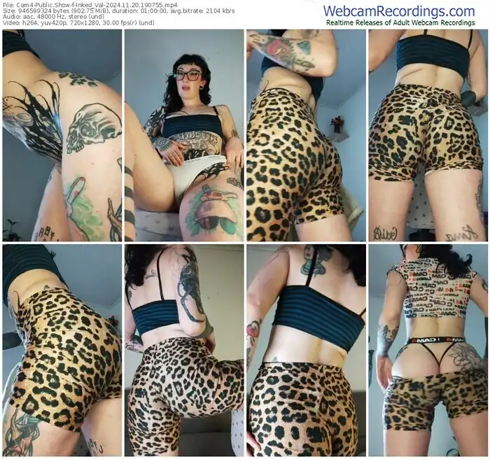 cam4-inked_val-11-20-2024-19-07-55