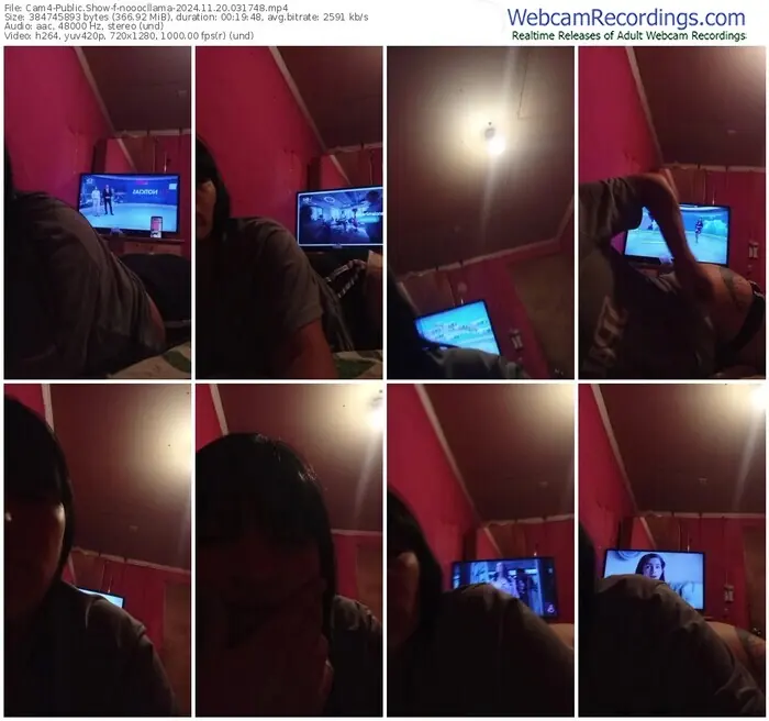 cam4-nooocllama-11-20-2024-03-17-48
