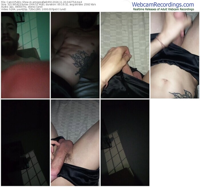 cam4-amigosafadinh0-11-20-2024-04-27-54