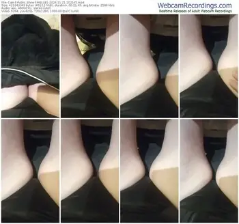 cam4-mellb1-11-21-2024-20-25-45