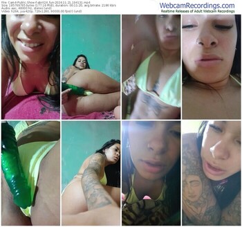 cam4-abril24_fun-11-21-2024-19-41-31