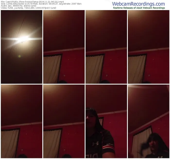 cam4-nooocllama-11-21-2024-04-12-12