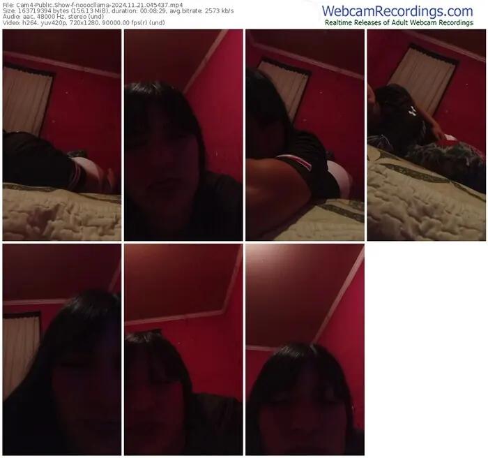 cam4-nooocllama-11-21-2024-04-54-37