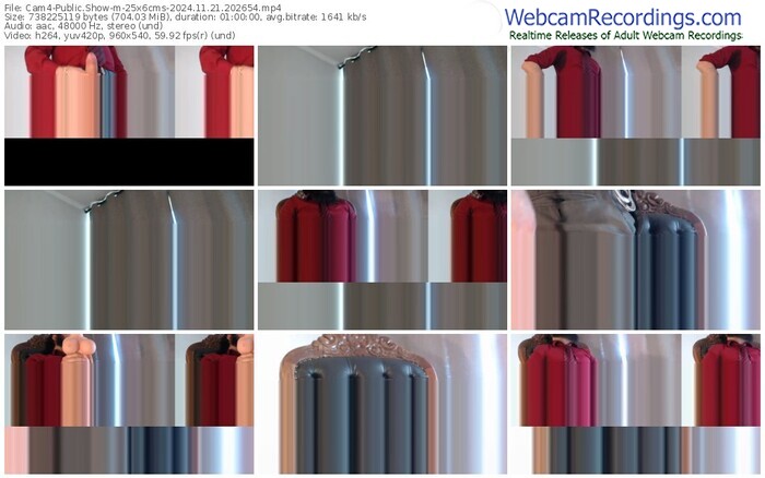 cam4-25x6cms-11-21-2024-20-26-54