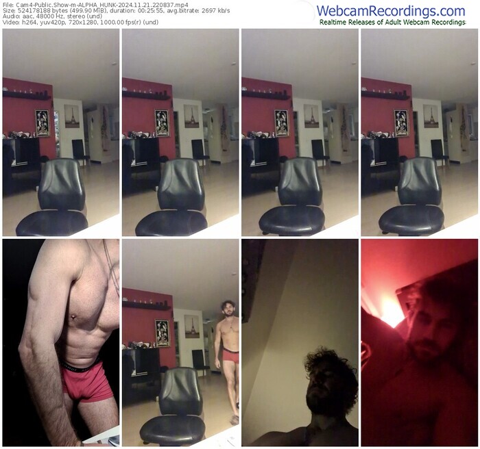 cam4-alpha_hunk-11-21-2024-22-08-37