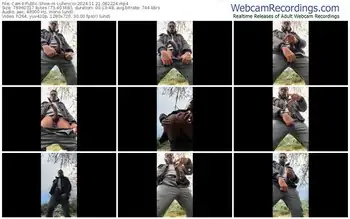 cam4-lufenicci-11-21-2024-08-22-24