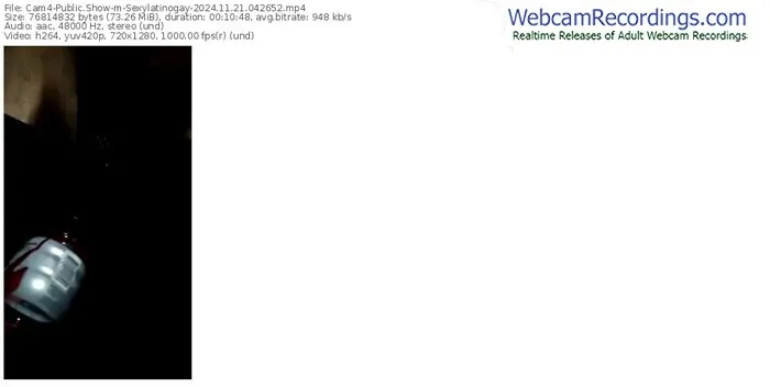 cam4-sexylatinogay-11-21-2024-04-26-52