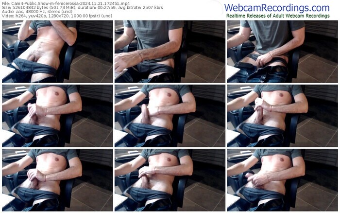 cam4-fenicerossa-11-21-2024-17-24-51