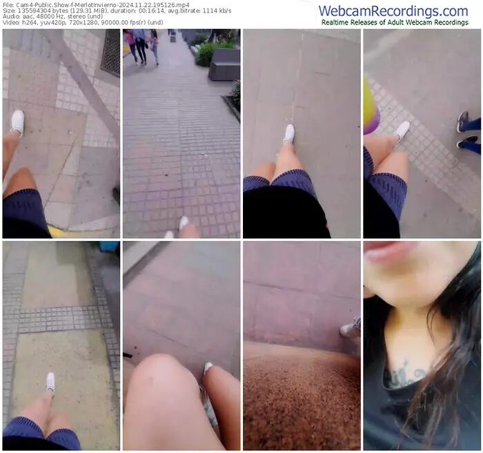 cam4-merlotinvierno-11-22-2024-19-51-26