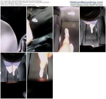 cam4-merlotinvierno-11-22-2024-20-17-46