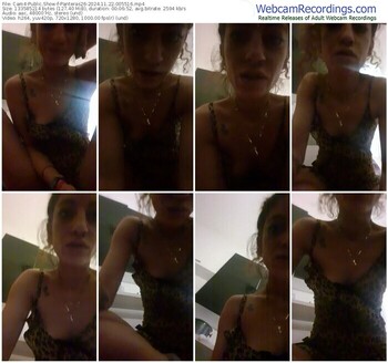 cam4-panteras26-11-22-2024-00-55-16