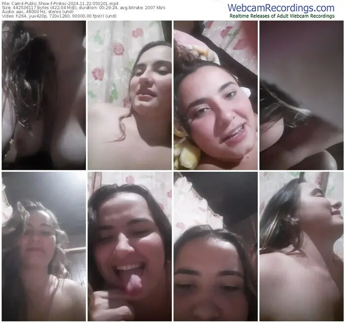 cam4-pinksc-11-22-2024-05-02-01