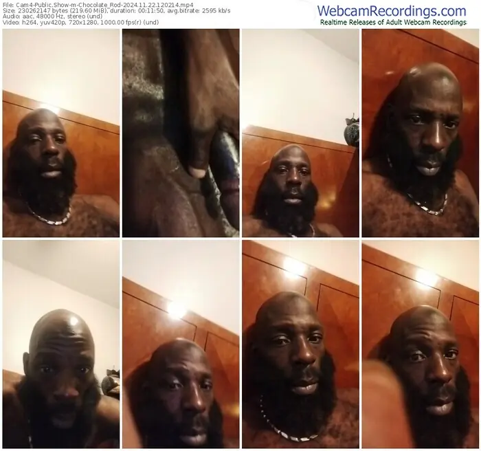 cam4-chocolate_rod-11-22-2024-12-02-14