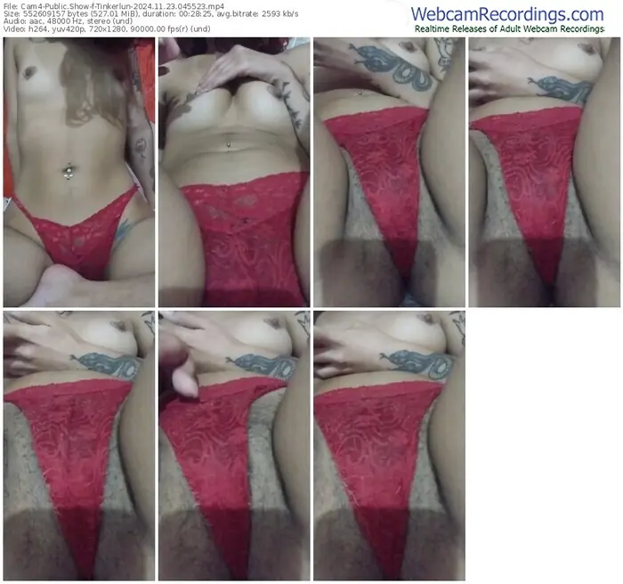 cam4-tinkerlun-11-23-2024-04-55-23