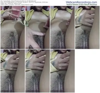 cam4-tinkerlun-11-23-2024-08-15-06