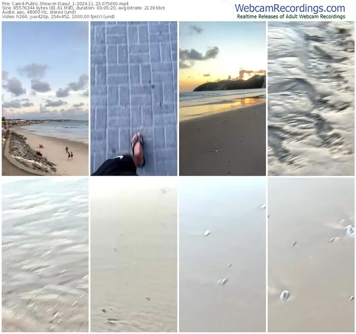 cam4-dasul_1-11-23-2024-07-56-50