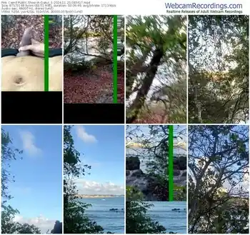 cam4-dasul_1-11-23-2024-08-34-17