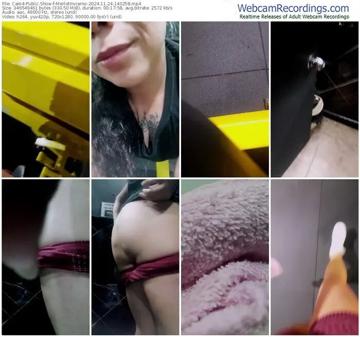 cam4-merlotinvierno-11-24-2024-14-02-58