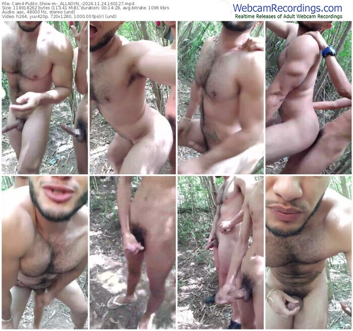 cam4-_alladyn_-11-24-2024-16-01-27