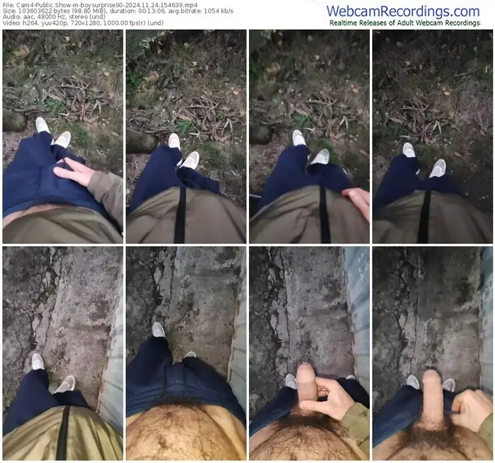 cam4-boysurprise90-11-24-2024-15-46-39