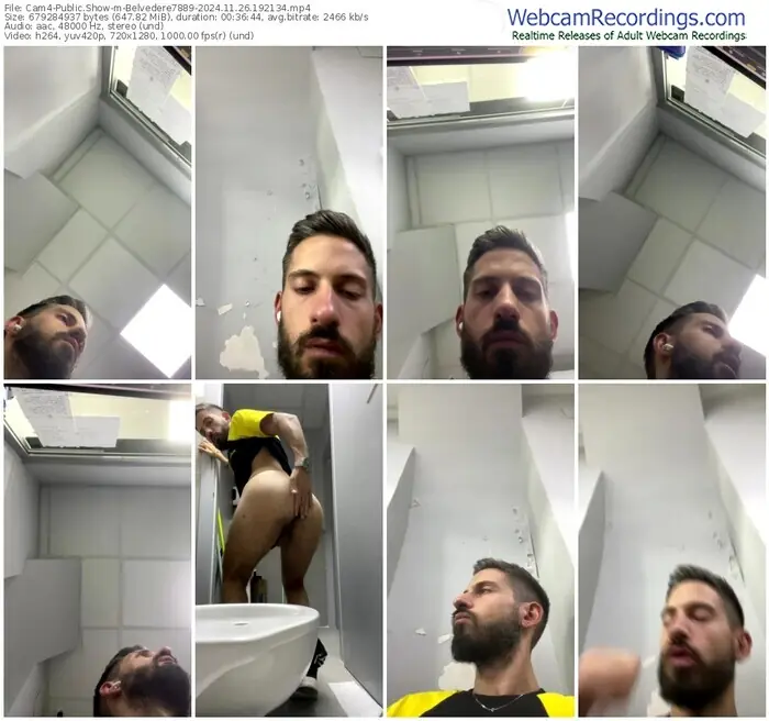 cam4-belvedere7889-11-26-2024-19-21-34