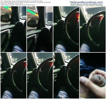 cam4-dotadoszuber-11-26-2024-00-06-11