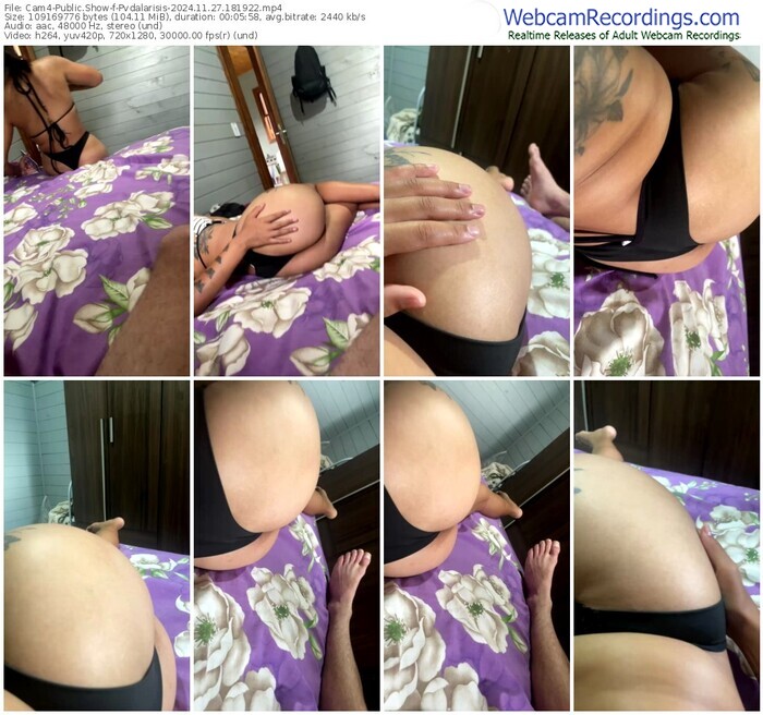 cam4-pvdalarisis-11-27-2024-18-19-22