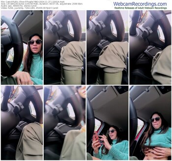 cam4-fragile7883-11-27-2024-12-30-14