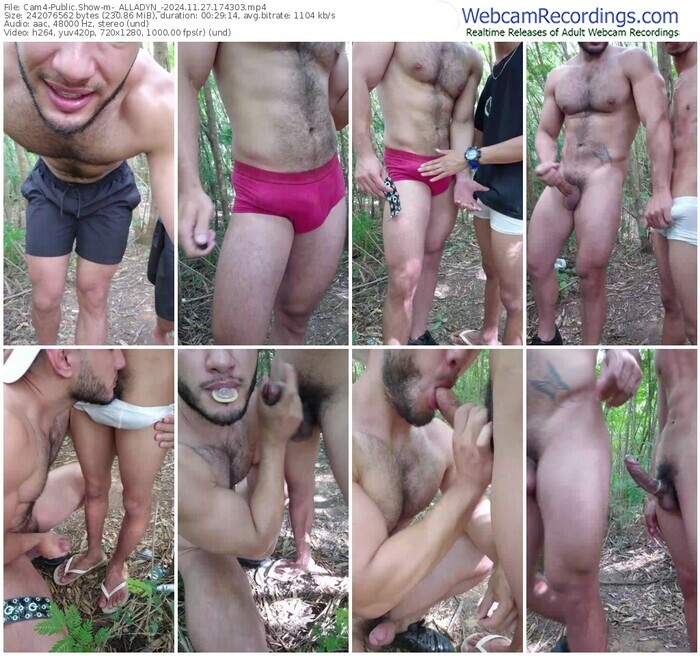 cam4-_alladyn_-11-27-2024-17-43-03