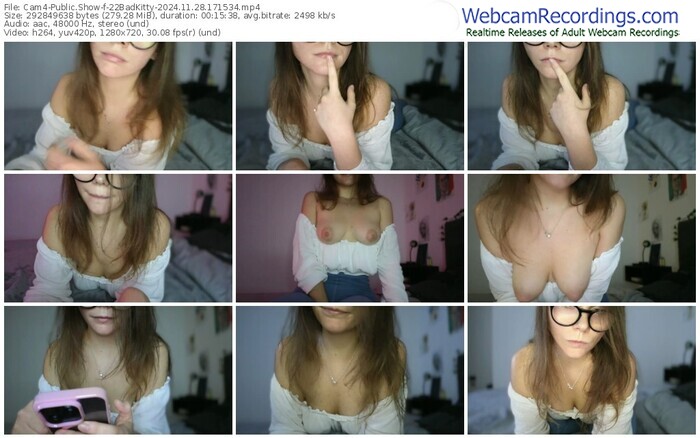 cam4-22badkitty-11-28-2024-17-15-34