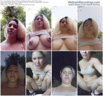 cam4-rossita_golden1-11-28-2024-21-42-11