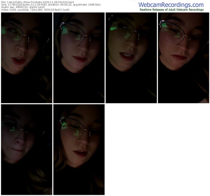 cam4-vvleskv-11-28-2024-04-13-20
