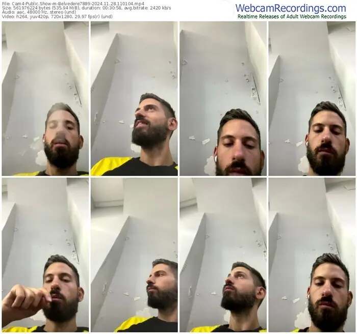 cam4-belvedere7889-11-28-2024-11-01-04