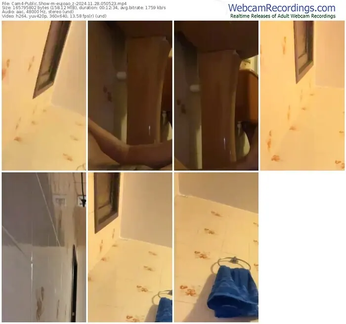 cam4-eujoao_z-11-28-2024-05-05-23