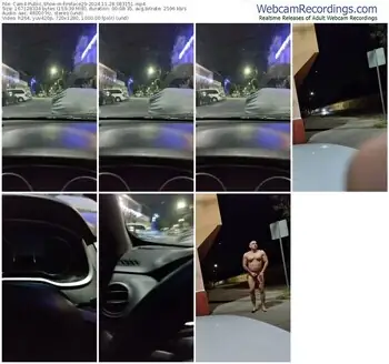 cam4-fireface29-11-28-2024-08-31-51